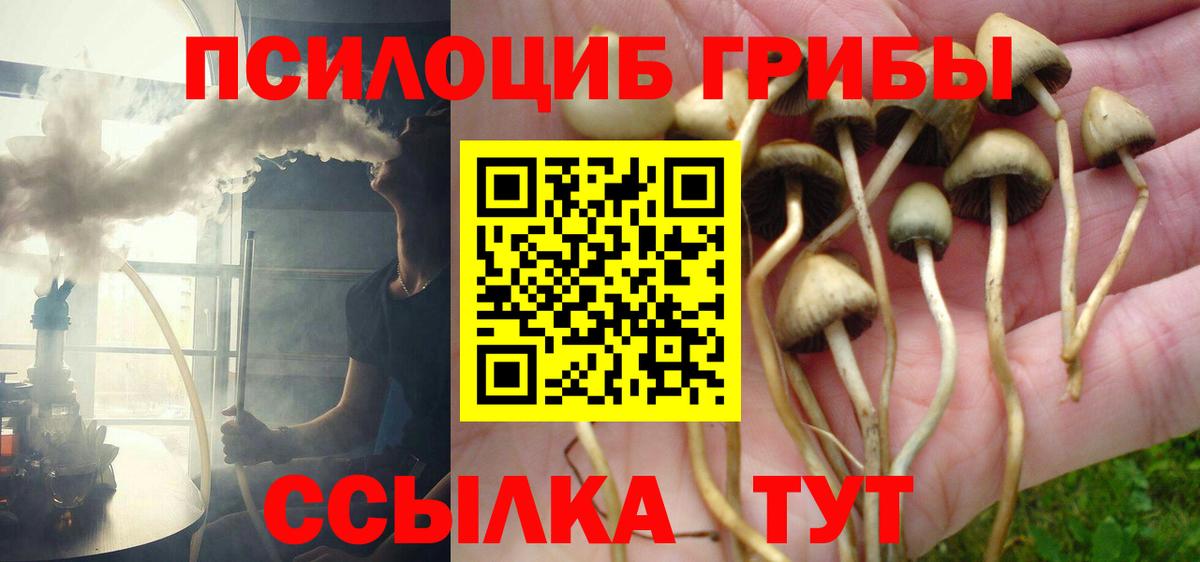Псилоцибиновые грибы Psilocybine cubensis Коммунар