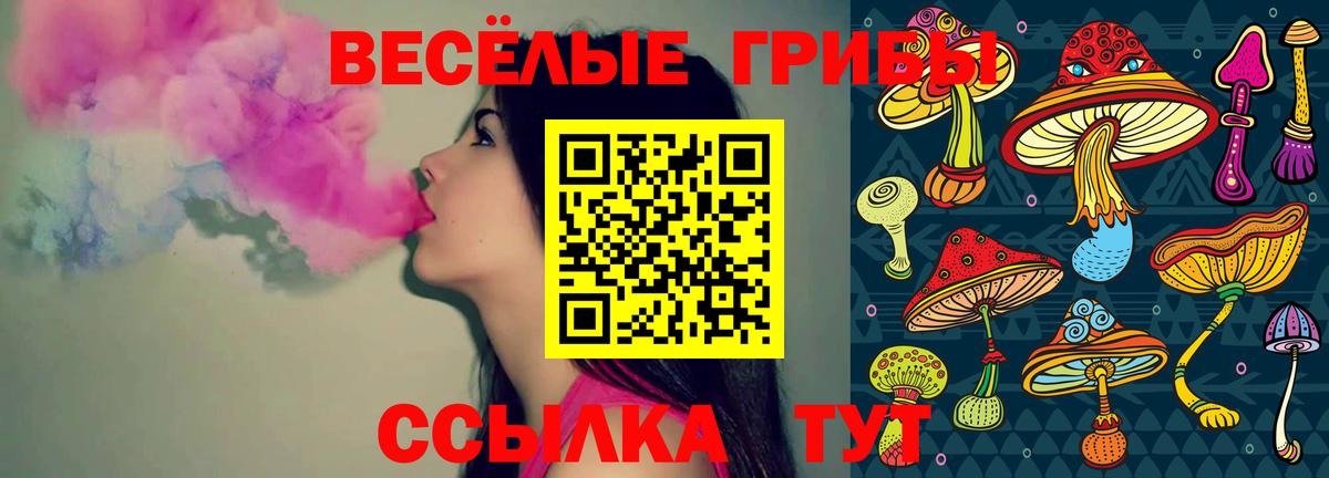 Галлюциногенные грибы GOLDEN TEACHER  Псилоцибиновые грибы MAGIC MUSHROOMS  Вход с VPN  Коммунар 